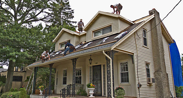 Best Metal Roofing Contractor  in Goddard, KS