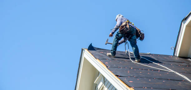 Best Flat Roof Repair Services  in Goddard, KS